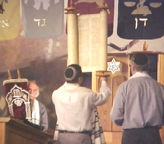 images/torah2003.jpg